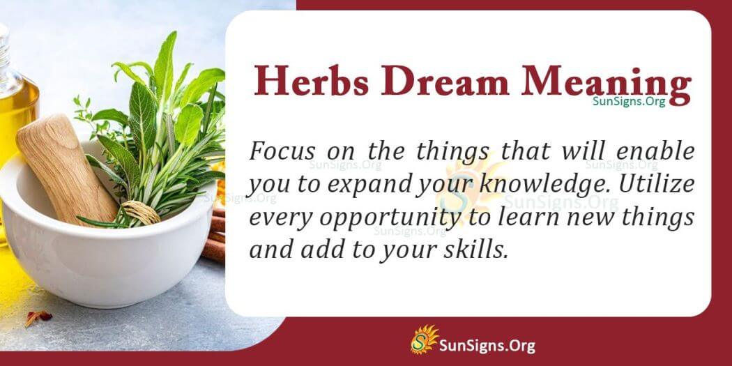 What Does It Mean to Dream About Herbs? Interpretation and Symbolism