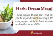 Herbs Dream Meaning