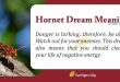 Hornet Dream Meaning