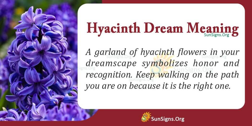 Dreaming Of Hyacinth Meaning, Interpretation And Symbolism