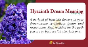 Hyacinth Dream Meaning