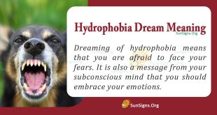 Hydrophobia Dream Meaning