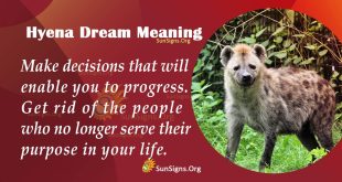 Hyena Dream Meaning