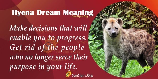 Hyena Dream Meaning
