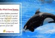 Killer Whale Dream Meaning