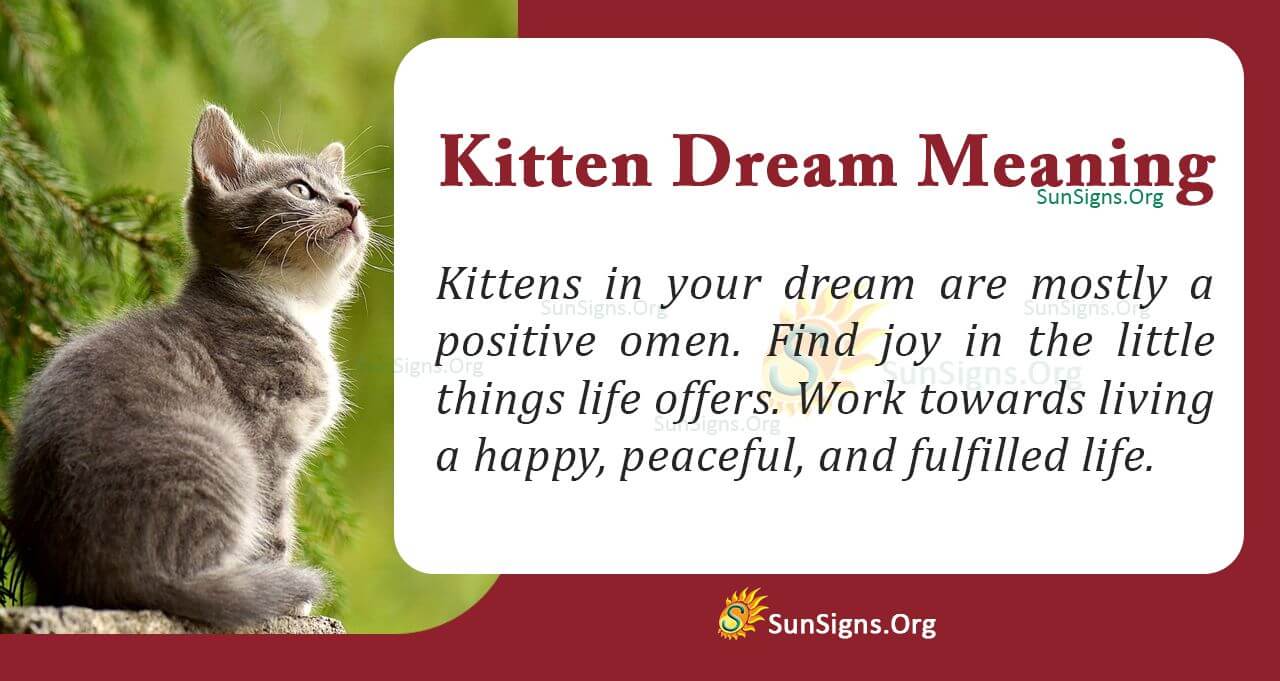 What Does a Kitten in Your Dream Mean? Interpretation and Symbolism