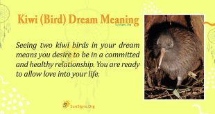 Kiwi (Bird) Dream Meaning