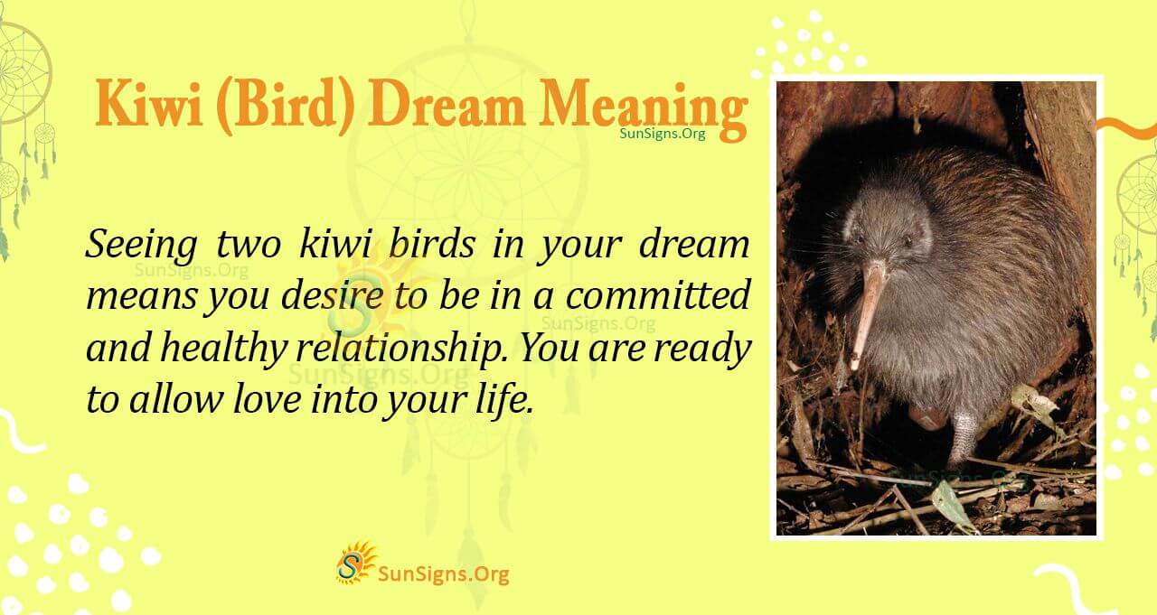 Seeing a Kiwi Bird in Your Dream Meaning, Interpretation and