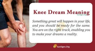 Knee Dream Meaning