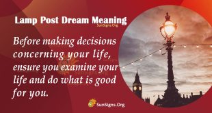 Lamp Post Dream Meaning