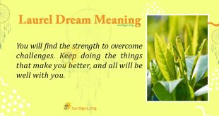 Laurel Dream Meaning