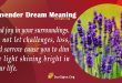 Lavender Dream Meaning