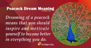 Peacock Dream Meaning