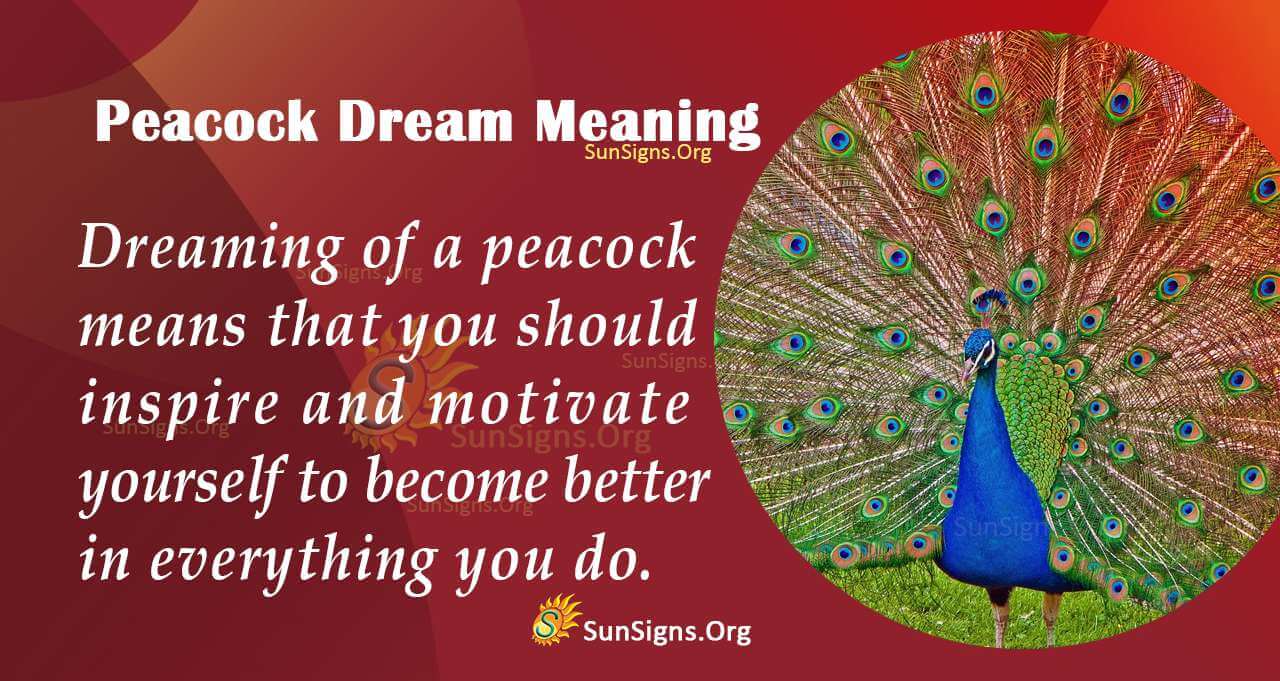 Peacock Dream Symbol Meaning, Interpretation and Symbolism