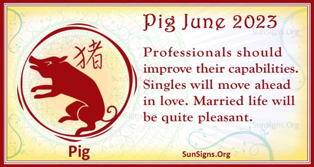 Pig Chinese Horoscope 2023