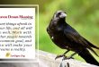 Raven Dream Meaning