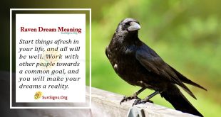 Raven Dream Meaning