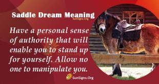 Saddle Dream Meaning