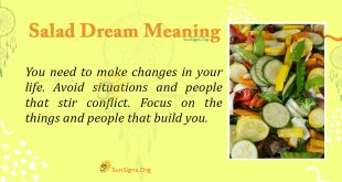 Salad Dream Meaning