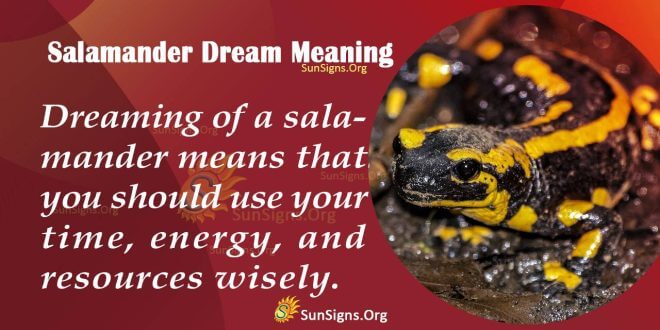 Salamander Dream Meaning