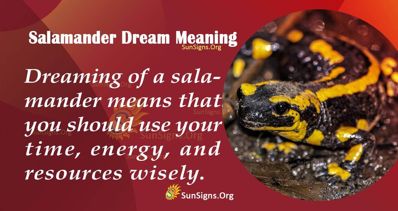 Meaning Of A Salamander Dream Interpretation And Symbolism