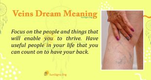 Veins Dream Meaning
