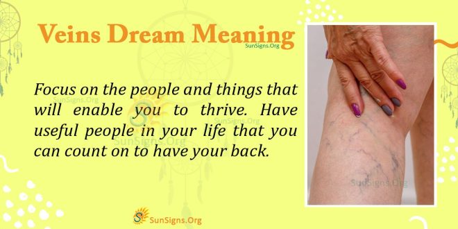 Veins Dream Meaning