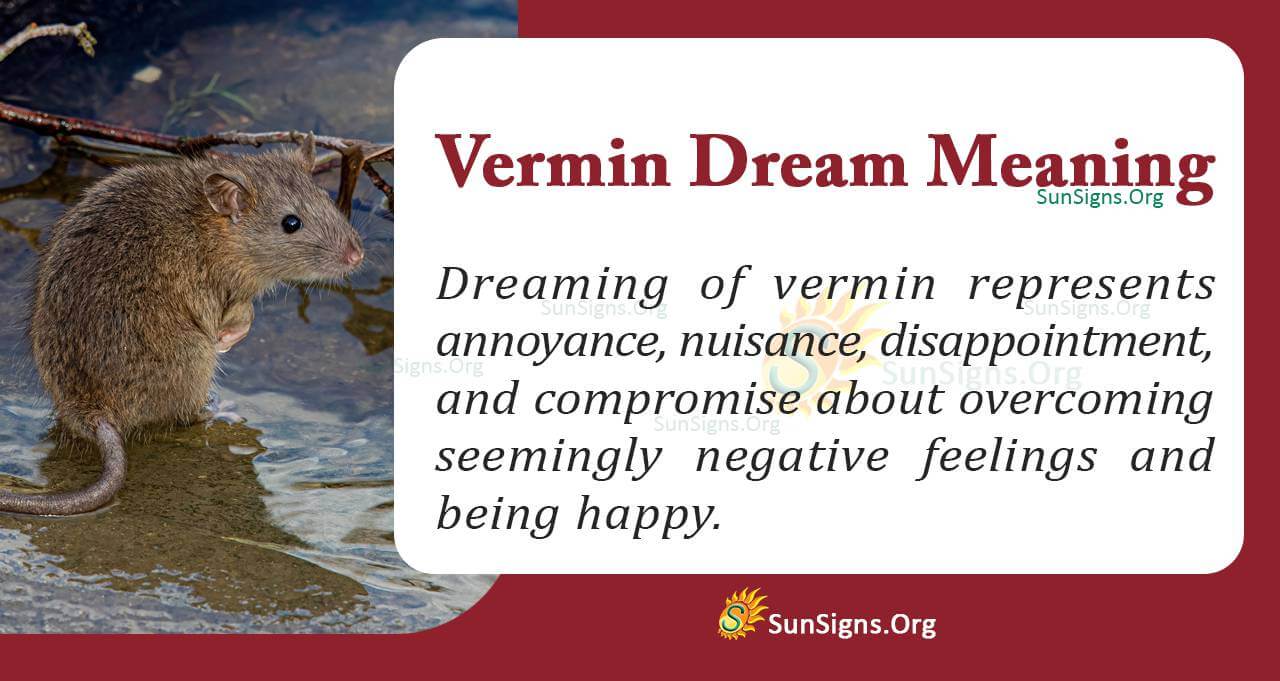 What Is The Meaning Of A Vermin Dream? Interpretation And Symbolism ...