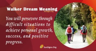 Walker Dream Meaning