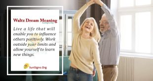 Waltz Dream Meaning