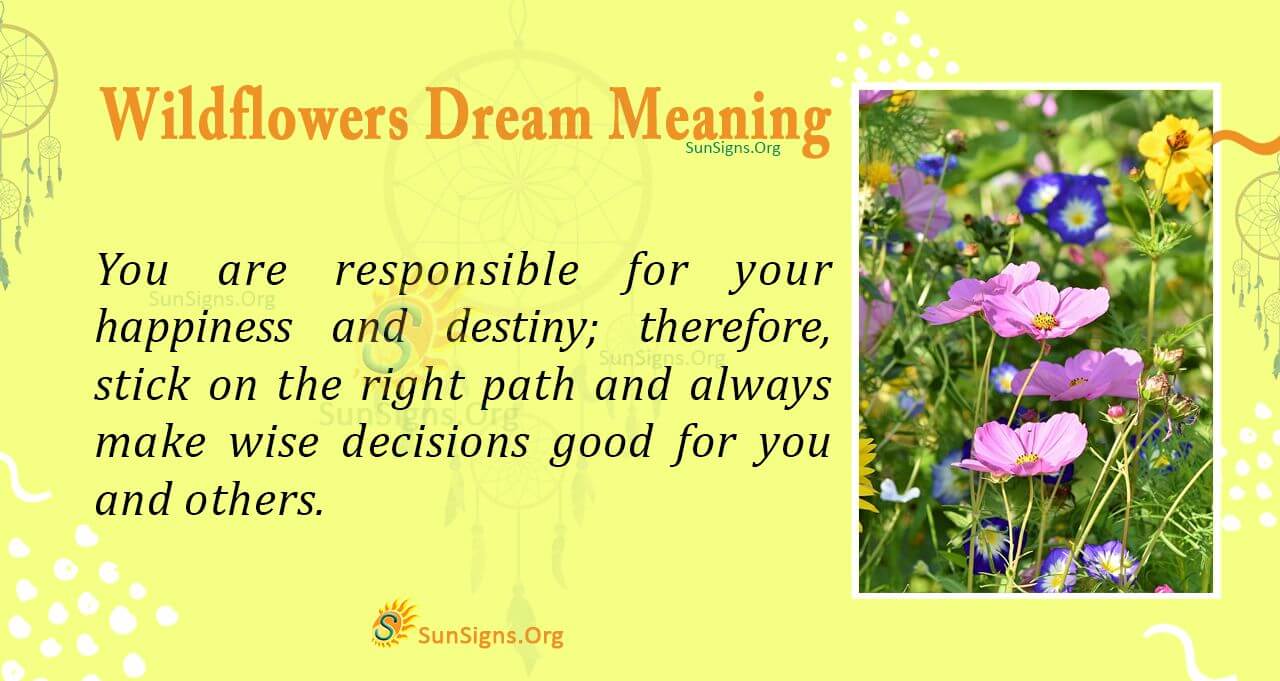 Dream Meaning of Wildflowers Interpretation and Symbolism