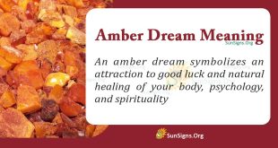 Amber Dream Meaning