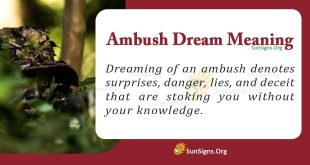 Ambush Dream Meaning