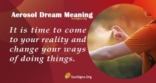 Aerosol Dream Meaning