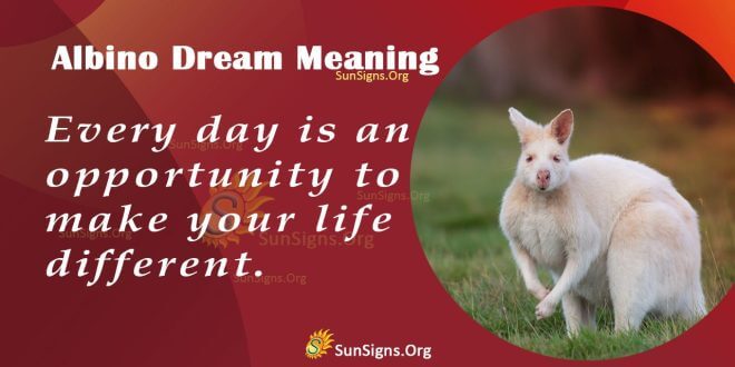 Albino Dream Meaning