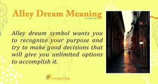 Alley Dream Meaning
