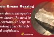 Alum Dream Meaning