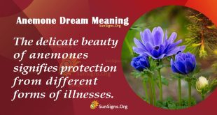 anemone dream meaning