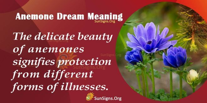 anemone dream meaning