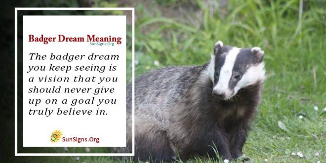 Badger Dream Meaning