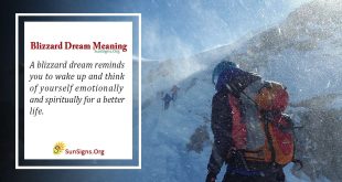 blizzard dream meaning