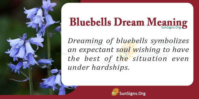 Bluebells Dream Meaning