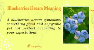 blueberries dream meaning