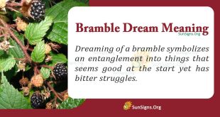 Bramble Dream Meaning