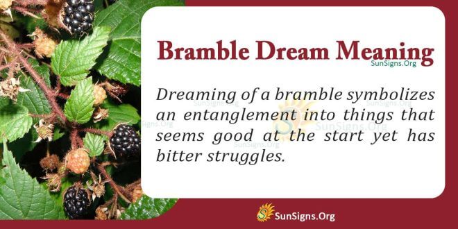 Bramble Dream Meaning
