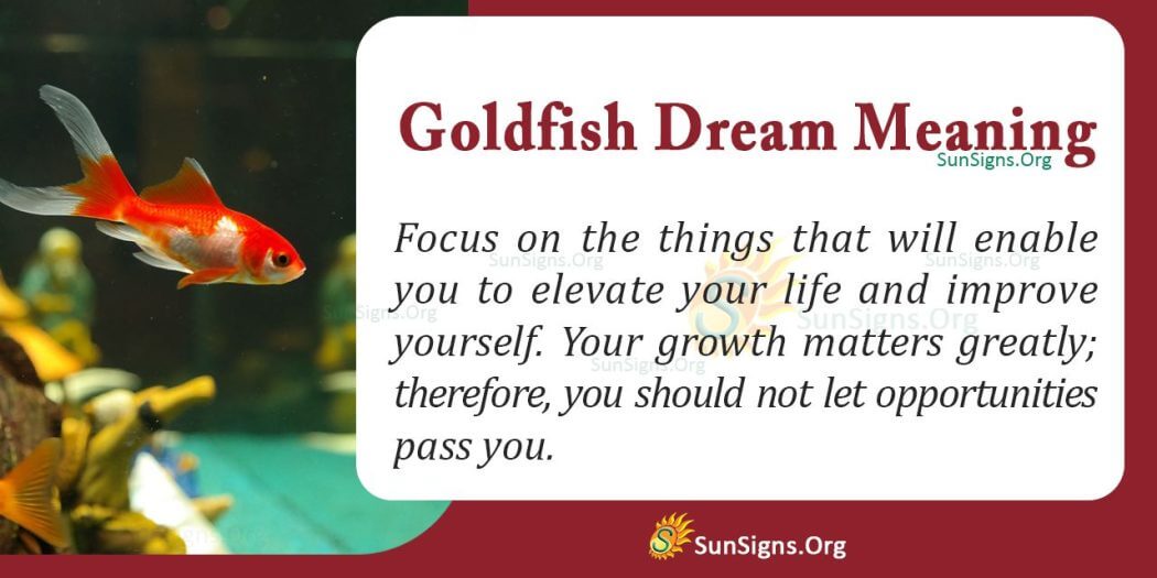 Seeing A Goldfish In Your Dream Meaning, Interpretation and Symbolism