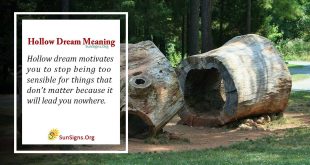 Hollow Dream Meaning