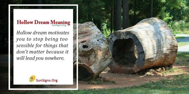 Hollow Dream Meaning