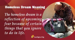 Homeless Dream Meaning