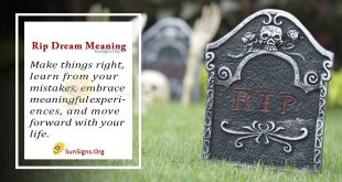 Rip Dream Meaning